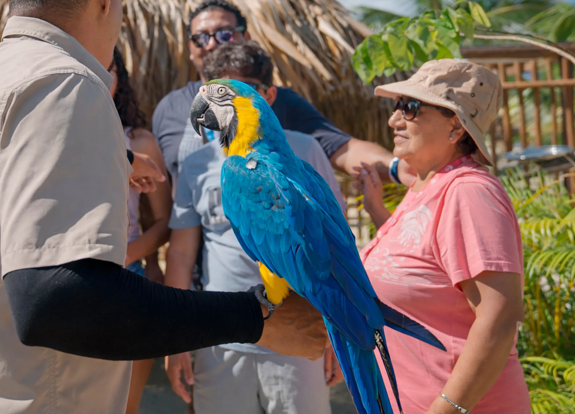 Taino Bay Port Pass2