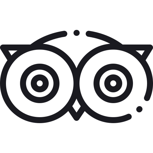 Icono Tripadvisor