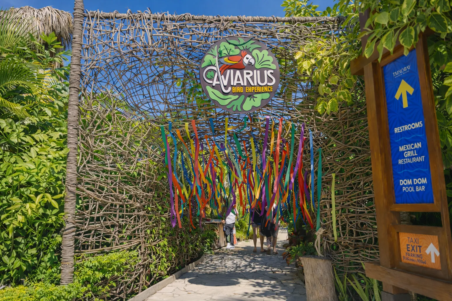 Aviario